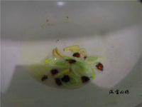 素炒甘蓝的做法步骤3