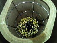 薏苡黑米豆浆的做法步骤4