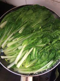 家常凉拌小白菜的做法步骤3