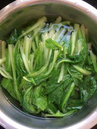 家常凉拌小白菜的做法步骤4