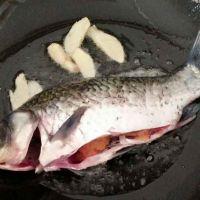 鲫鱼豆腐汤的做法步骤4