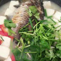 鲫鱼豆腐汤的做法步骤8