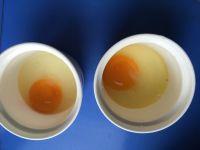 超嫩水蒸蛋的做法步骤1