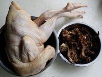 珊瑚菌烧鸡块的做法步骤1