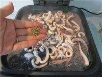 鱿鱼铁板烧的做法步骤9