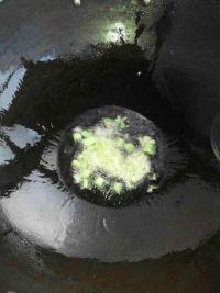 青椒土豆片的做法步骤6