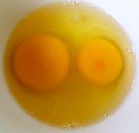 饺子的做法步骤4