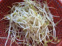 豆芽炒韭菜的做法步骤2