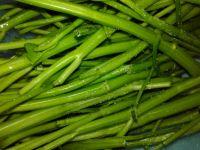 蚂蚁爱上绿树的做法步骤3