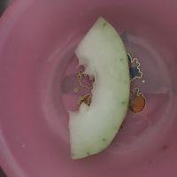 虾皮蒸冬瓜的做法步骤1