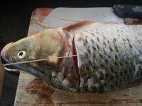改良版新疆大锅鱼的做法步骤3