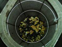 黑芝麻核桃豆浆的做法步骤4