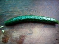 青龙卧雪的做法步骤1