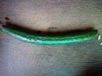 青龙卧雪的做法步骤4