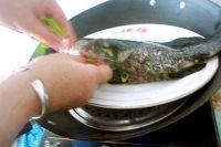 清蒸石斑鱼的做法步骤6